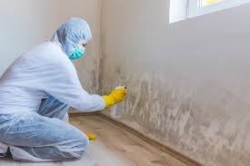 Why You Should Choose Our Mold Remediation Services in Brookhaven, PA