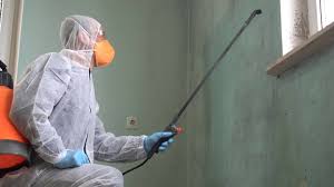 Best Asbestos and Lead Testing During Mold Inspection  in Brookhaven, PA