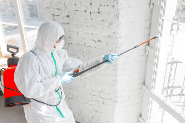 Best Asbestos and Lead Testing During Mold Inspection  in Brookhaven, PA