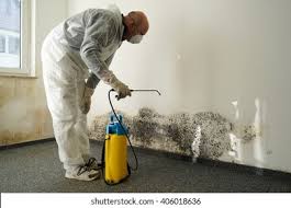 Best Industrial Mold Remediation  in Brookhaven, PA